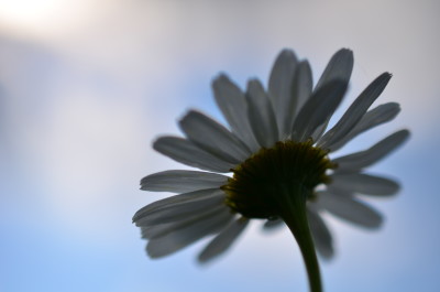 DSC_0326